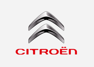 ����ѩ����